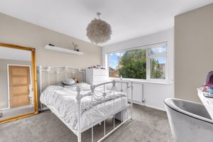 Photo 44- click for photo gallery